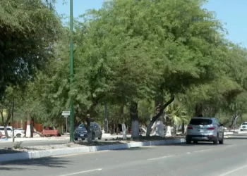 Hombre Resulta Herido con Arma Blanca por un Adulto Mayor en Poblado Miguel Alemán