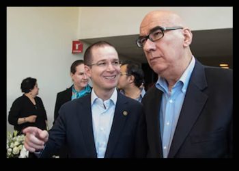 “El McPAN sí existe, aunque las dirigencias se esmeren en negarlo”: Luisa María Alcalde