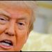 Trump ordena renombrar el Departamento de Defensa como “Departamento de Guerra”