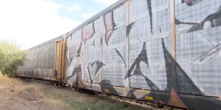 Tren Arrolló a Hombre en Santa Ana; Esto Pasó