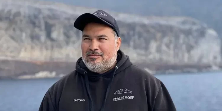 Los científicos mexicanos que detectan los susurros de la vaquita, el mamífero marino más amenazado del planeta