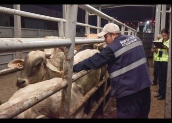 Sader afirma que caso de gusano barrenador en NL está contenido