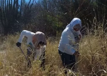 Colectivo Encuentra Restos Óseos y un Cuerpo Calcinado en Mesa del Seri