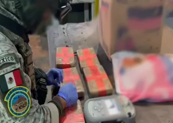 Defensa decomisa fentanilo oculto en detergente en Sonora