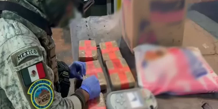 Defensa decomisa fentanilo oculto en detergente en Sonora