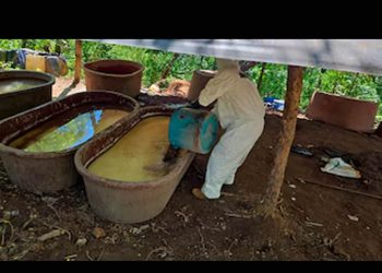 Golpe de la Semar a Los Mayos por más de 6 mil mdp tras desmantelamiento de narcolaboratorios de metanfetamina en Durango