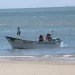 Embargo de E.U impactará a 60 especies del Golfo, incluida la curvina y merluza