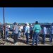 Llegan a Sonora inspectores del Departamento de Agricultura de EEUU para determinar si se ábre la frontera a la exportación de ganado