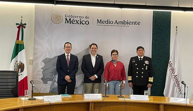 México implementa acciones de protección y conservación de la vaquita marina y la totoaba