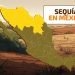 Sequía 2025: 186 municipios aún afectados, Sonora el más crítico