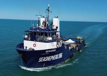 Arranca Crucero de Observación Vaquita Marina 2025