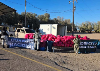 Aseguran más de una tonelada de metanfetamina en Sonora; hay dos detenidos