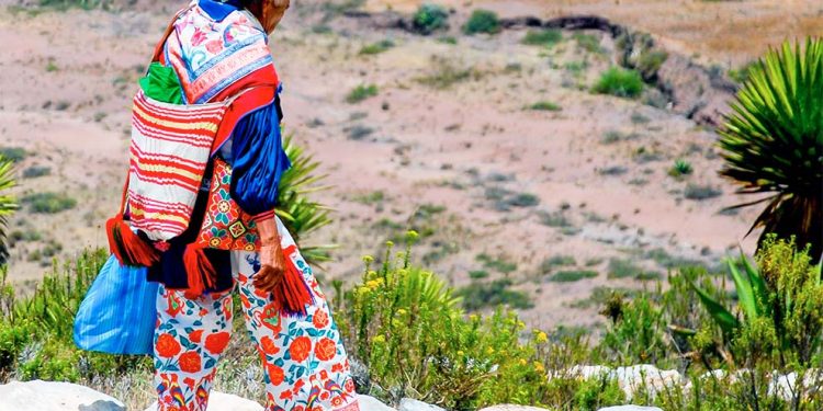 Concesiones de litio dañan la ruta histórico-cultural del pueblo wixárika