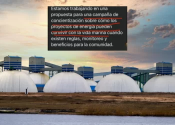 Influencers ambientales denuncian que intentaron sobornarlos para hablar bien del Proyecto Saguaro