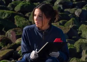 Lo que advierte el destino de la vaquita sobre los tiburones