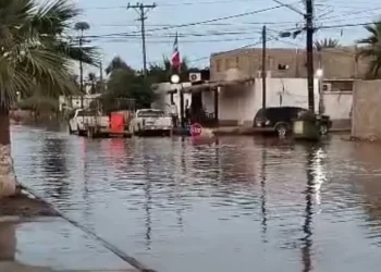 Agresión Armada a Presunto Punto de Venta de Drogas Dejó a un Sujeto Lesionado en Hermosillo