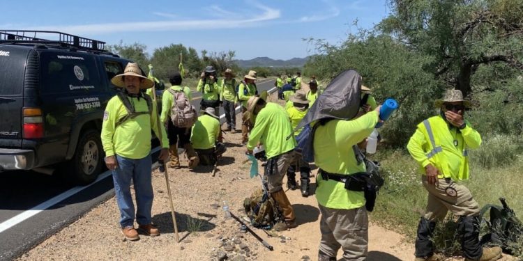Aunque bajó el cruce de migrantes en el desierto, afirman que los coyotes “los están engañando” para que pidan asilo en la frontera