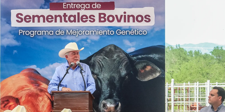 Con entrega de 100 sementales en Sonora arrancó el Programa Integral de Producción de Carne