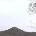 Clima en Sonora: ¿Regresaron las Altas Temperaturas al Estado?