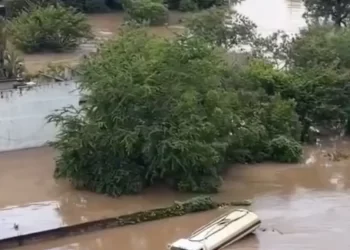 En Sonora, Guardia Nacional y Ejército Mexicano aseguran material bélico