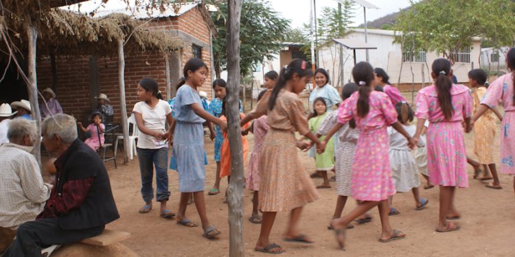 “Nos hablaron bonito, pero nada cambió”: la realidad de los pueblos indígenas de Guarijío, Sonora