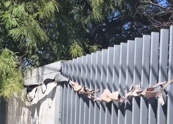 Cucas Colocan Tendedero de Sostenes para Fomentar la Prevención del Cancer de Mama en Hermosillo