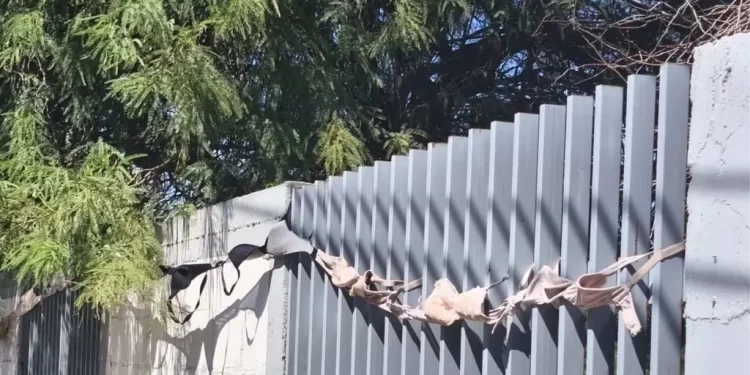 Cucas Colocan Tendedero de Sostenes para Fomentar la Prevención del Cancer de Mama en Hermosillo