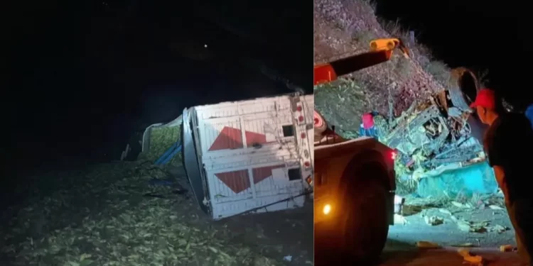 Tráiler Cargado de Elotes Volcó y Cayó sobre Auto en Carretera Ímuris-Cananea; Una Persona Murió