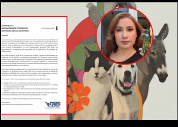 CEDES despide a Directora de Protección y Bienestar Animal; comunidad animalista exige su reinstalación