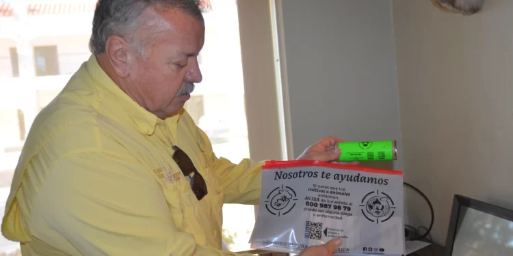 En Sonora, los ganaderos sienten la presión mientras la frontera de Estados Unidos permanece cerrada al ganado