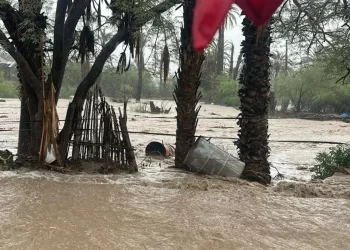 Socavón Tapado con Llantas en Cananea Volvió a Reabrirse tras Paso de “Raymond” en Sonora