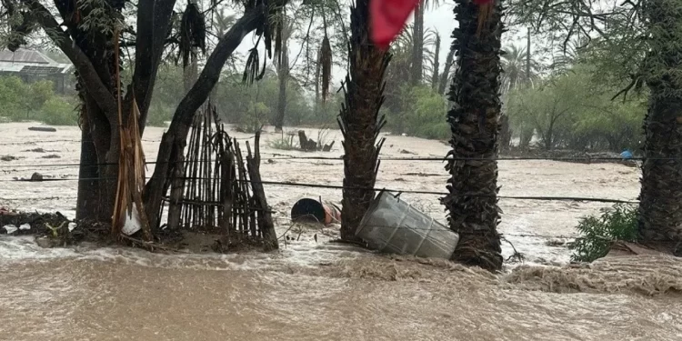 Socavón Tapado con Llantas en Cananea Volvió a Reabrirse tras Paso de “Raymond” en Sonora