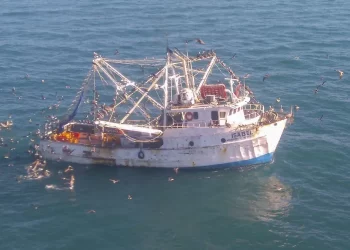 Pesca en el Golfo de California repercute hábitat de la vaquita marina: Centro para la Diversidad Biológica