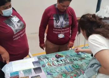 Grupo de Golfo de Santa Clara convierte basura en objetos útiles y promueve conservación de aves