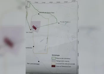 Mantendrán restricción de acceso de pescadores al Alto Golfo