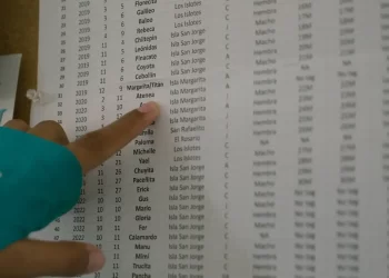 Organizaciones denuncian obstáculos legales para rescatar lobos marinos enmallados en Baja California Sur