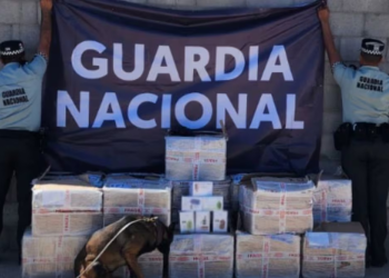 Guardia Nacional asegura más de cinco mil vapeadores con nicotina en el Aeropuerto Internacional de Hermosillo