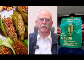 Julio Berdegué anuncia incremento en el costo del maíz blanco tras protestas de agricultores