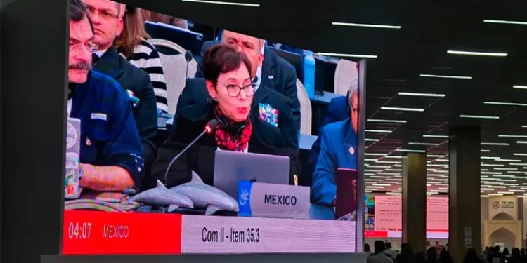 Logra México aval de CITES para modificar polígonos de protección de vaquita marina