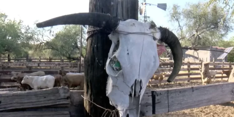 Detienen en Sonora a joven acusado de fraude