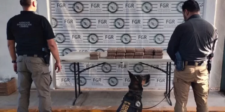 Moviliza Reporte de Víbora de Cascabel en Preescolar a Cuerpos de Emergencia en Hermosillo