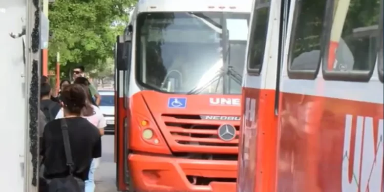 Nuevas Credenciales de Transporte Urbano en Hermosillo; ¿Dónde Debo Tramitarlas y Hasta Cuándo?