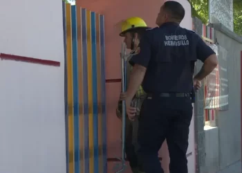 Moviliza Reporte de Víbora de Cascabel en Preescolar a Cuerpos de Emergencia en Hermosillo