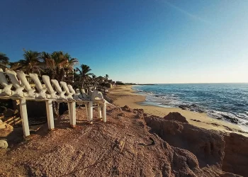 Restaurar ecosistemas es recuperar la esperanza