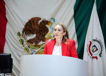 Presenta Diputada Marcela Valenzuela iniciativa para reformar el Codigo Penal