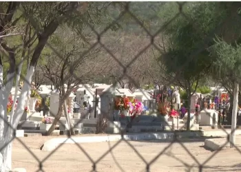 Abejas Atacan a Dos Adolescentes en Panteón Colinas de San José, en Hermosillo