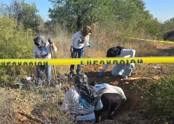 Buscadoras por la Paz hallan cuatro fosas clandestinas al norte de Hermosillo
