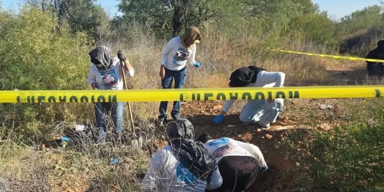 Buscadoras por la Paz hallan cuatro fosas clandestinas al norte de Hermosillo