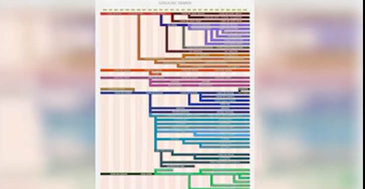La fragmentación del narco en México en el siglo XXI: de siete a 150 cárteles en 25 años