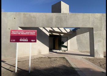 Freno a la Clínica de Bienestar Animal: CEDES veta el proyecto en La Sauceda por riesgo biológico